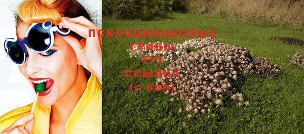прущие грибы Богородск