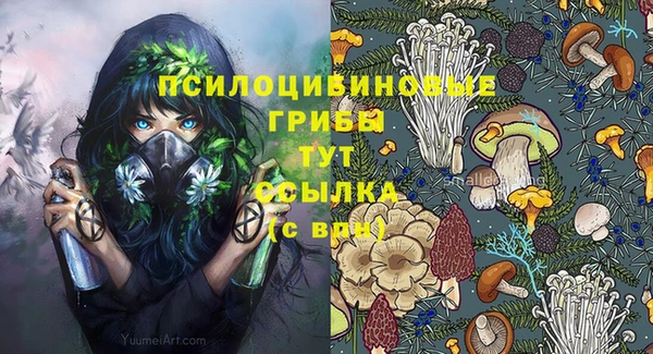 ECSTASY Семикаракорск