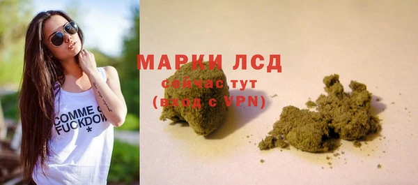 прущие грибы Богородск