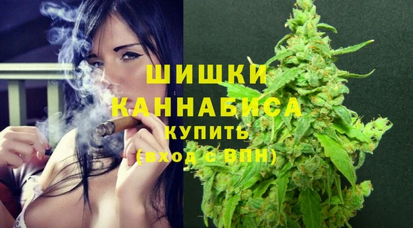 прущие грибы Богородск