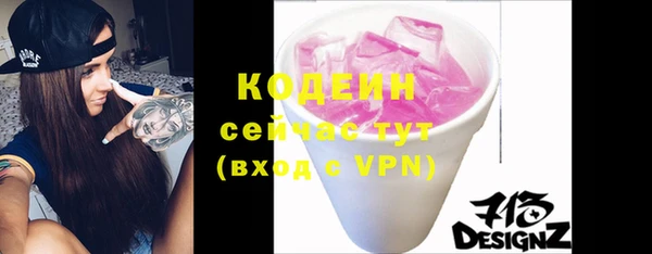 индика Беломорск