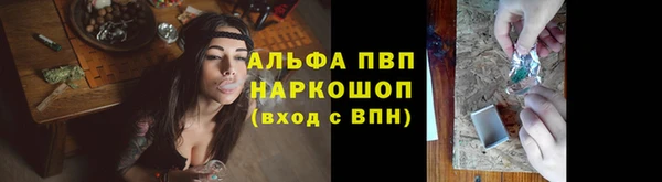прущие грибы Богородск