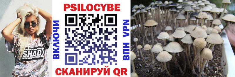 купить   Туран  Псилоцибиновые грибы мухоморы 